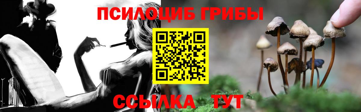Псилоцибиновые грибы ЛСД Малгобек